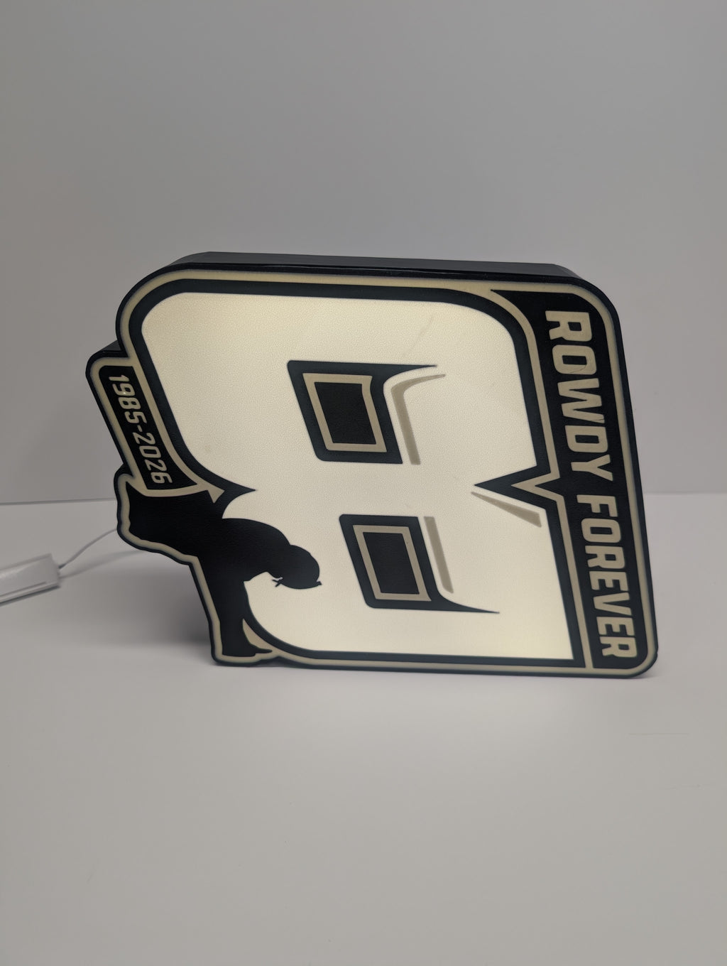 Kyle Busch LED Signs