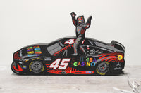 #45 TR Dayton 500 Win LED Sign